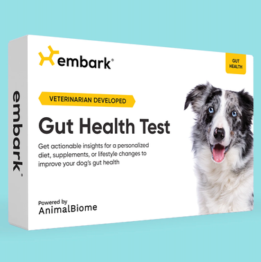 Embark Dog DNA Test: Here’s Everything You Need to Know About the Procedure