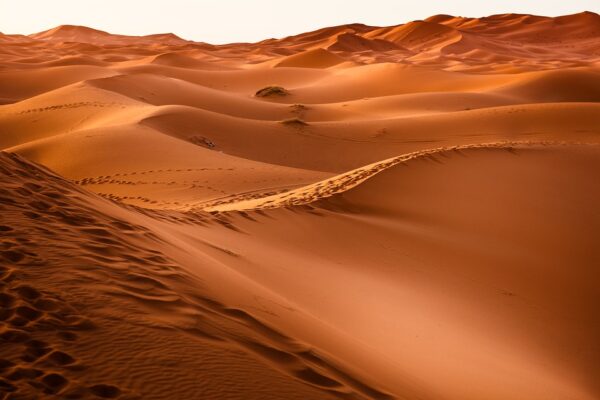 ‘Dune 3’ is in the works with director Denis Villeneuve